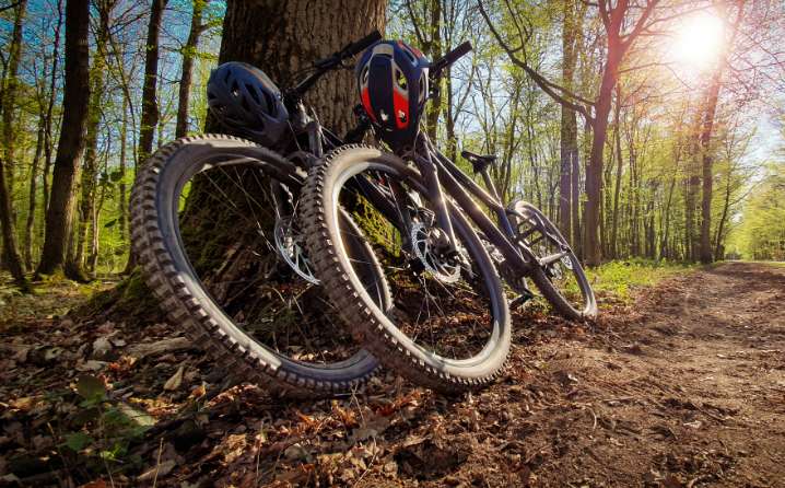 two bikes against a tree